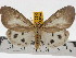  ( - ZWIER DNA 0465)  @14 [ ] Copyright (2010) Unspecified Research Collection of Jaap Zwier