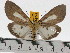  ( - ZWIER DNA 0467)  @14 [ ] Copyright (2010) Unspecified Research Collection of Jaap Zwier