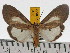  ( - ZWIER DNA 0468)  @14 [ ] Copyright (2010) Unspecified Research Collection of Jaap Zwier