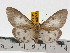  ( - ZWIER DNA 0471)  @14 [ ] Copyright (2010) Unspecified Research Collection of Jaap Zwier