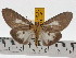  ( - ZWIER DNA 0472)  @14 [ ] Copyright (2010) Unspecified Research Collection of Jaap Zwier