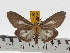  ( - ZWIER DNA 0473)  @14 [ ] Copyright (2010) Unspecified Research Collection of Jaap Zwier