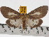 ( - ZWIER DNA 0474)  @14 [ ] Copyright (2010) Unspecified Research Collection of Jaap Zwier