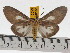  ( - ZWIER DNA 0475)  @14 [ ] Copyright (2010) Unspecified Research Collection of Jaap Zwier