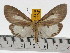  ( - ZWIER DNA 0478)  @14 [ ] Copyright (2010) Unspecified Research Collection of Jaap Zwier