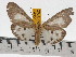  ( - ZWIER DNA 0481)  @13 [ ] Copyright (2010) Unspecified Research Collection of Jaap Zwier