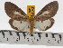  ( - ZWIER DNA 0482)  @14 [ ] Copyright (2010) Unspecified Research Collection of Jaap Zwier