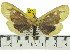  ( - ZWIER DNA 0510)  @13 [ ] Copyright (2010) Unspecified Research Collection of Jaap Zwier