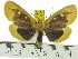  ( - ZWIER DNA 0511)  @14 [ ] Copyright (2010) Unspecified Research Collection of Jaap Zwier