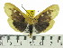  ( - ZWIER DNA 0512)  @14 [ ] Copyright (2010) Unspecified Research Collection of Jaap Zwier