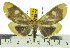  ( - ZWIER DNA 0514)  @15 [ ] Copyright (2010) Unspecified Research Collection of Jaap Zwier