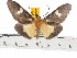  ( - ZWIER DNA 0523)  @14 [ ] Copyright (2010) Unspecified Research Collection of Jaap Zwier