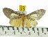  ( - ZWIER DNA 0526)  @12 [ ] Copyright (2010) Unspecified Research Collection of Jaap Zwier
