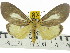  ( - ZWIER DNA 0527)  @14 [ ] Copyright (2010) Unspecified Research Collection of Jaap Zwier