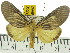  ( - ZWIER DNA 0529)  @13 [ ] Copyright (2010) Unspecified Research Collection of Jaap Zwier