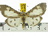  ( - ZWIER DNA 0536)  @14 [ ] Copyright (2010) Unspecified Research Collection of Jaap Zwier