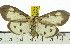  ( - ZWIER DNA 0540)  @14 [ ] Copyright (2010) Unspecified Research Collection of Jaap Zwier