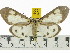  ( - ZWIER DNA 0541)  @14 [ ] Copyright (2010) Unspecified Research Collection of Jaap Zwier