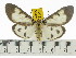  ( - ZWIER DNA 0542)  @14 [ ] Copyright (2010) Unspecified Research Collection of Jaap Zwier