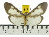  ( - ZWIER DNA 0549)  @14 [ ] Copyright (2010) Unspecified Research Collection of Jaap Zwier