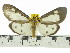  ( - ZWIER DNA 0550)  @14 [ ] Copyright (2010) Unspecified Research Collection of Jaap Zwier