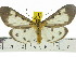  ( - ZWIER DNA 0551)  @14 [ ] Copyright (2010) Unspecified Research Collection of Jaap Zwier