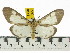  ( - ZWIER DNA 0554)  @14 [ ] Copyright (2010) Unspecified Research Collection of Jaap Zwier