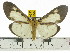  ( - ZWIER DNA 0560)  @14 [ ] Copyright (2010) Unspecified Research Collection of Jaap Zwier
