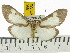  ( - ZWIER DNA 0561)  @14 [ ] Copyright (2010) Unspecified Research Collection of Jaap Zwier