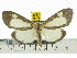 ( - ZWIER DNA 0564)  @14 [ ] Copyright (2010) Unspecified Research Collection of Jaap Zwier