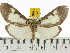  ( - ZWIER DNA 0565)  @14 [ ] Copyright (2010) Unspecified Research Collection of Jaap Zwier