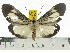  ( - ZWIER DNA 0571)  @14 [ ] Copyright (2010) Unspecified Research Collection of Jaap Zwier