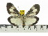  ( - ZWIER DNA 0572)  @11 [ ] Copyright (2010) Unspecified Research Collection of Jaap Zwier