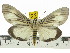  ( - ZWIER DNA 0573)  @11 [ ] Copyright (2010) Unspecified Research Collection of Jaap Zwier