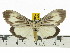  ( - ZWIER DNA 0574)  @14 [ ] Copyright (2010) Unspecified Research Collection of Jaap Zwier