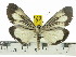  ( - ZWIER DNA 0575)  @11 [ ] Copyright (2010) Unspecified Research Collection of Jaap Zwier