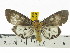  ( - ZWIER DNA 0585)  @14 [ ] Copyright (2010) Unspecified Research Collection of Jaap Zwier