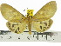  ( - ZWIER DNA 0587)  @11 [ ] Copyright (2010) Unspecified Research Collection of Jaap Zwier