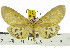  ( - ZWIER DNA 0588)  @14 [ ] Copyright (2010) Unspecified Research Collection of Jaap Zwier