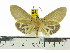  ( - ZWIER DNA 0589)  @11 [ ] Copyright (2010) Unspecified Research Collection of Jaap Zwier