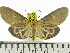  ( - ZWIER DNA 0590)  @14 [ ] Copyright (2010) Unspecified Research Collection of Jaap Zwier