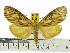  ( - ZWIER DNA 0592)  @14 [ ] Copyright (2010) Unspecified Research Collection of Jaap Zwier