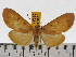  ( - ZWIER DNA 0602)  @13 [ ] Copyright (2010) Unspecified Research Collection of Jaap Zwier
