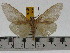  ( - ZWIER DNA 0628)  @12 [ ] Copyright (2010) Unspecified Research Collection of Jaap Zwier