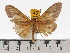  ( - ZWIER DNA 0631)  @11 [ ] Copyright (2010) Unspecified Research Collection of Jaap Zwier