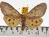  ( - ZWIER DNA 0677)  @14 [ ] Copyright (2010) Unspecified Research Collection of Jaap Zwier