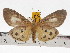  ( - ZWIER DNA 0679)  @14 [ ] Copyright (2010) Unspecified Research Collection of Jaap Zwier