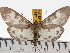  ( - ZWIER DNA 0687)  @15 [ ] Copyright (2010) Unspecified Research Collection of Jaap Zwier