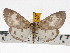  ( - ZWIER DNA 0689)  @15 [ ] Copyright (2010) Unspecified Research Collection of Jaap Zwier
