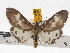  ( - ZWIER DNA 0691)  @15 [ ] Copyright (2010) Unspecified Research Collection of Jaap Zwier